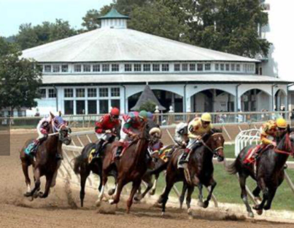 HORSE RACING SHOW