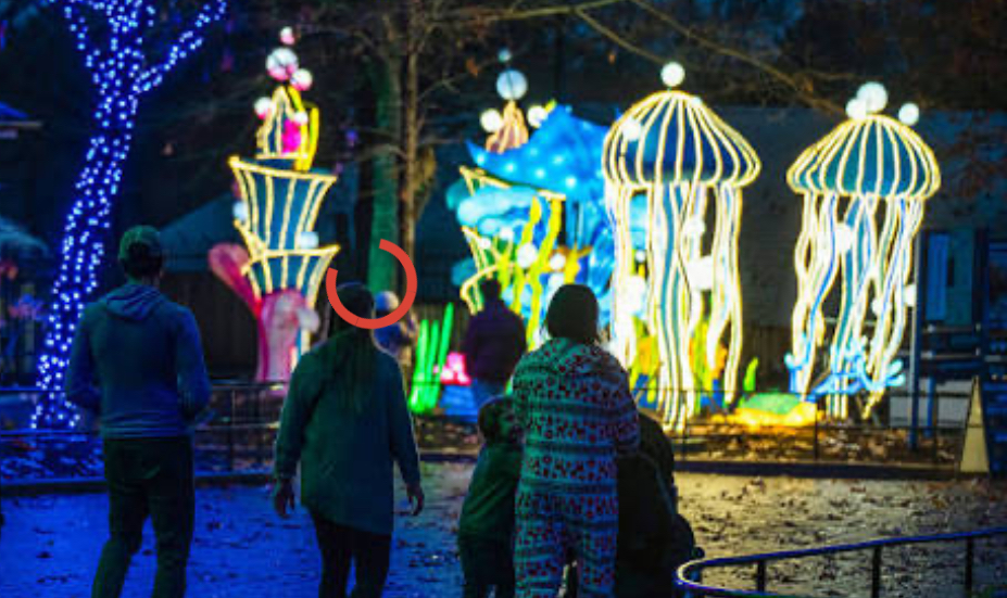 4BCB8E24-0F6C-4B40-99BA-BA7AB364A1AA