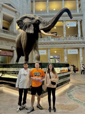 0944FDE4-3BFB-400A-9E8E-A5F0C9F03C93